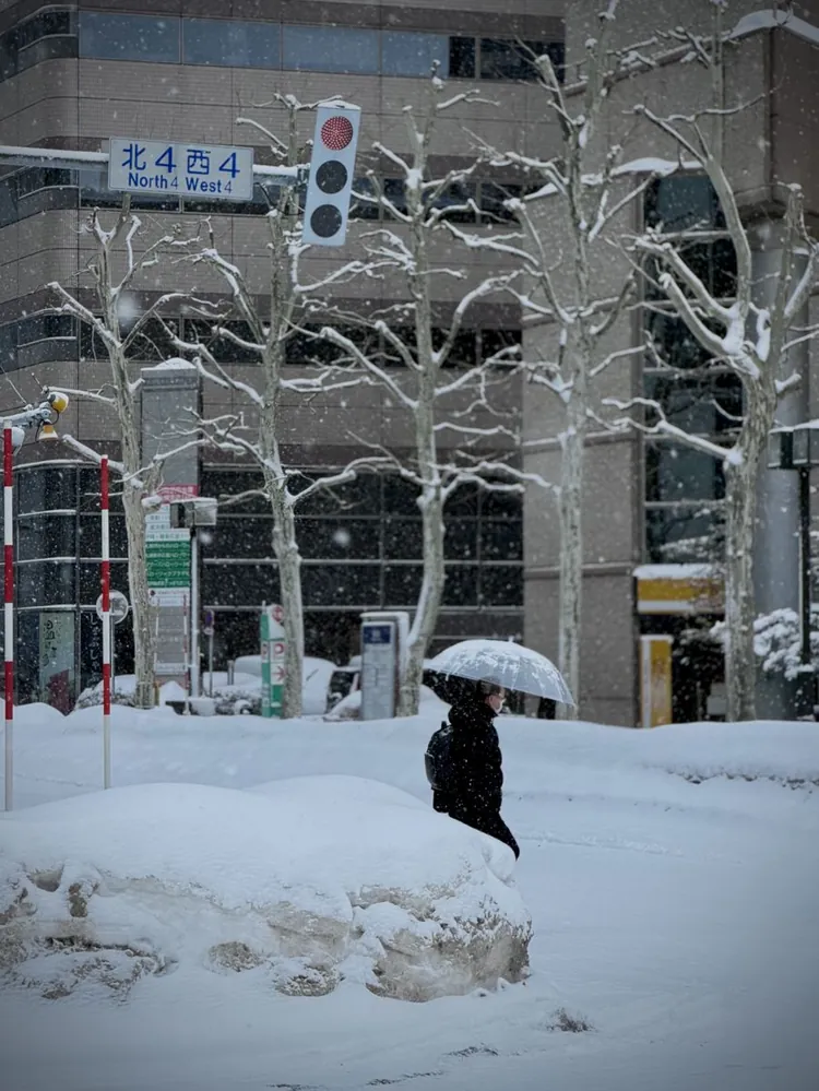 A person with a clear umbrella walking past snow-covered trees at a city crossing